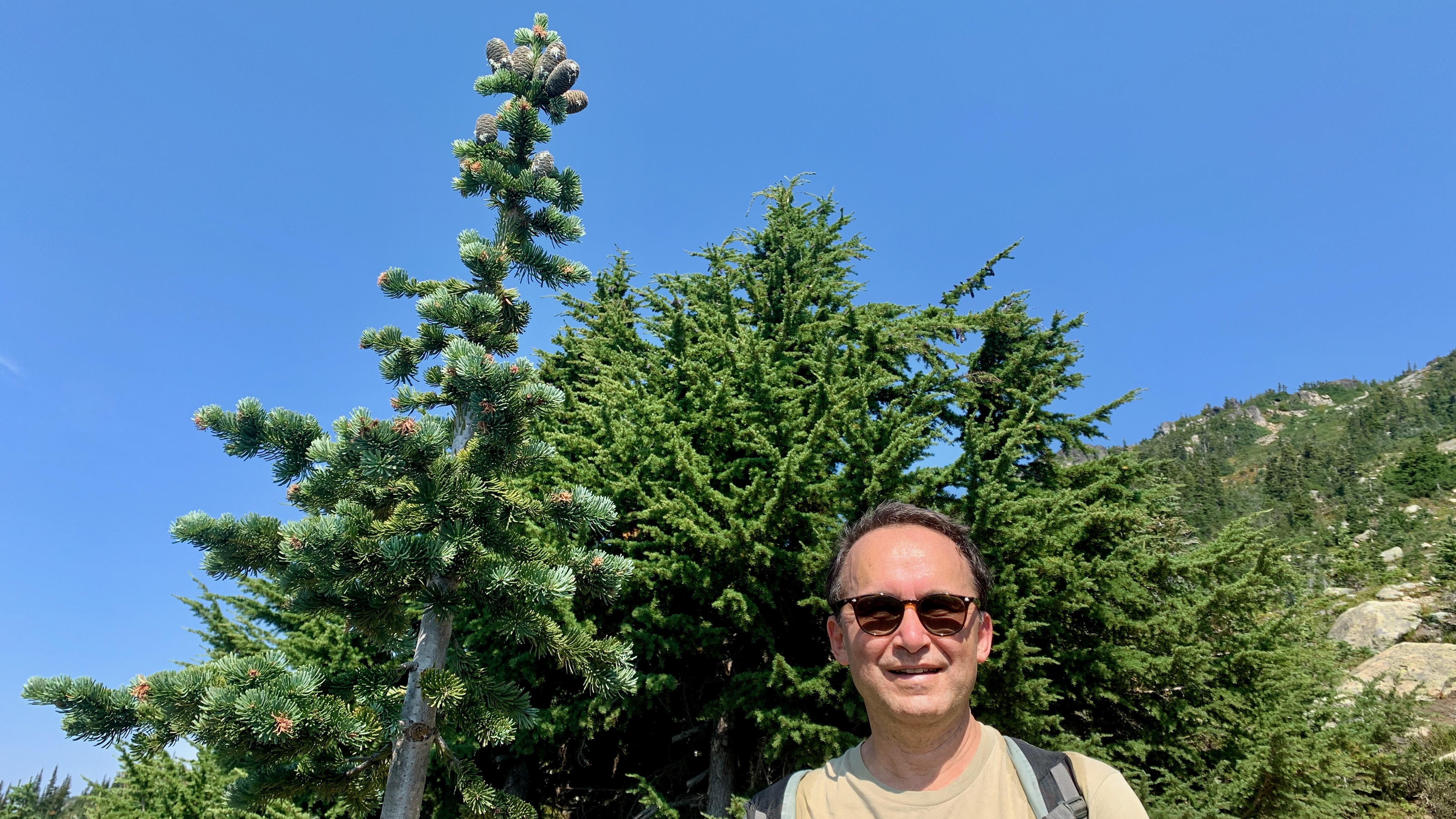 Cheakamus Lake lunch stop