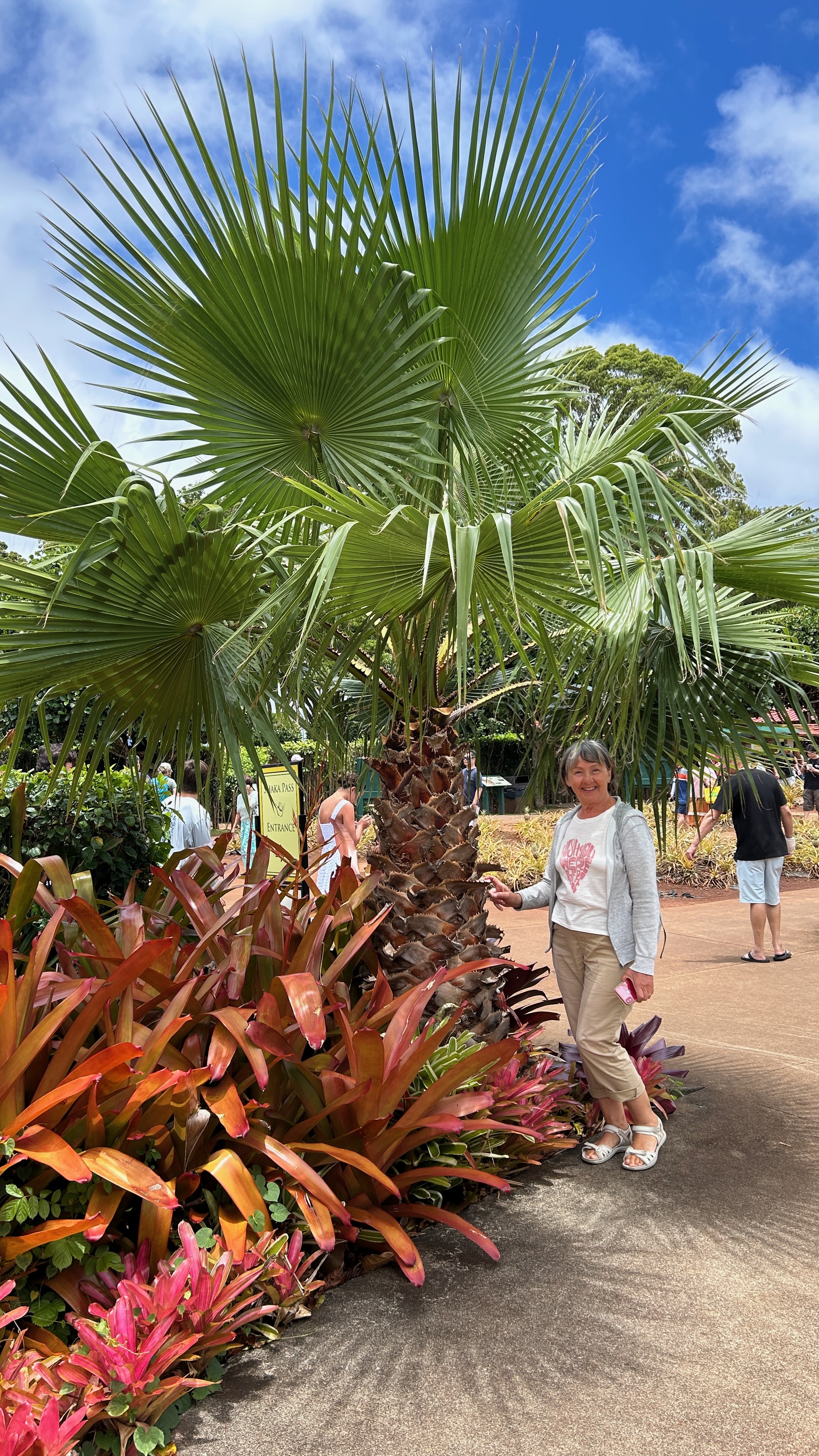 Oahu